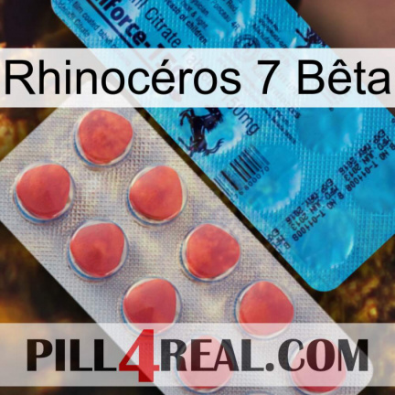 Rhinocéros 7 Bêta new14